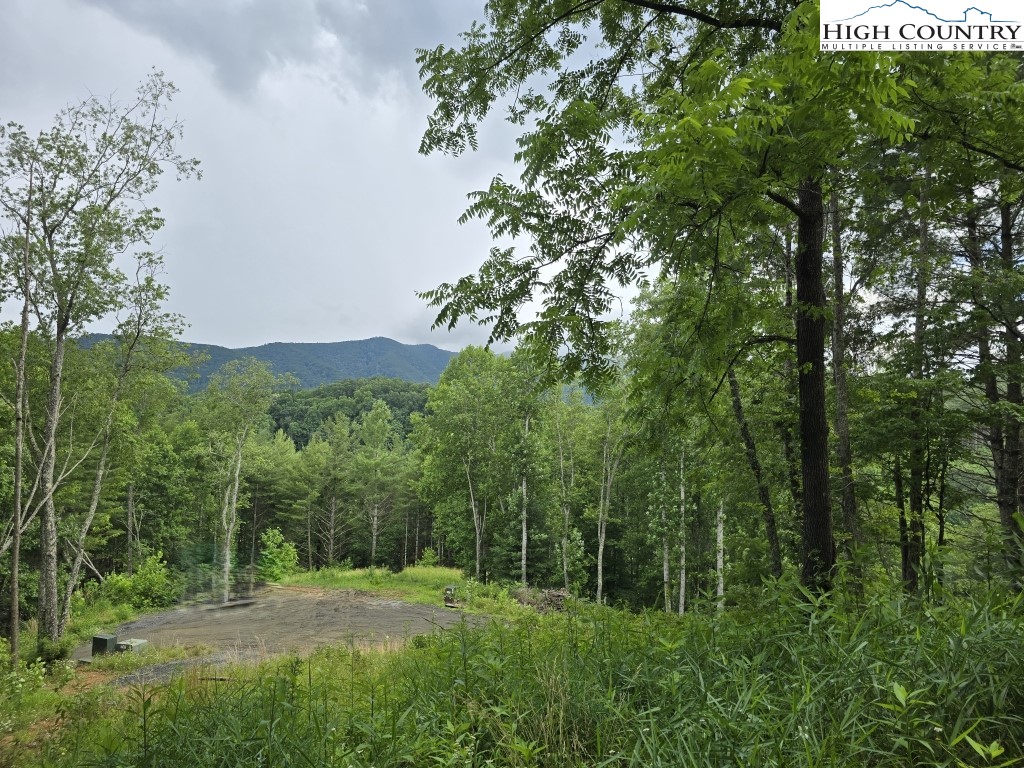 TBD (Lot 3) Venue Views Drive