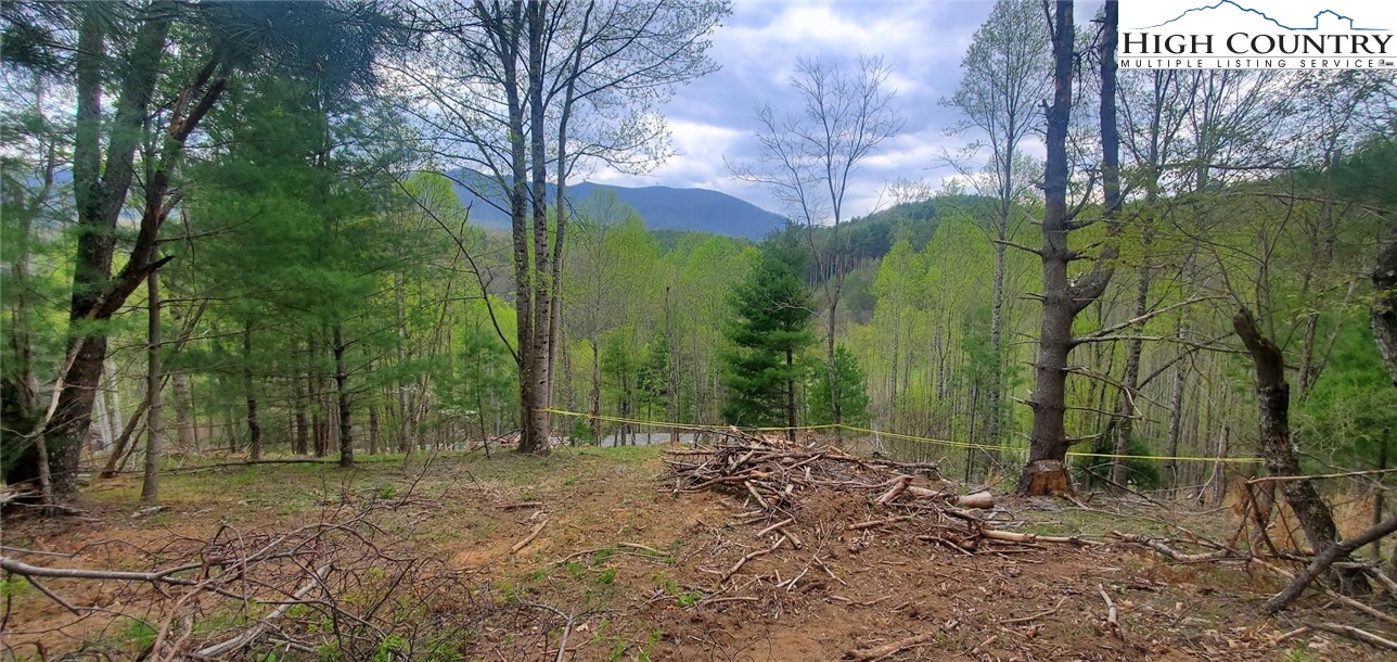 TBD (Lot 3) Venue Views Drive