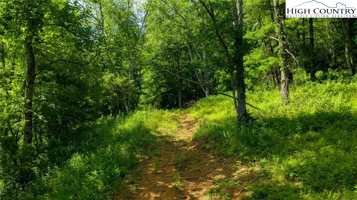 TBD (Lot 3) Venue Views Drive