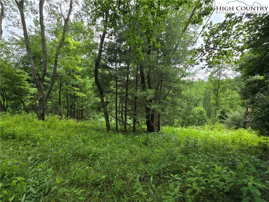 TBD (Lot 3) Venue Views Drive