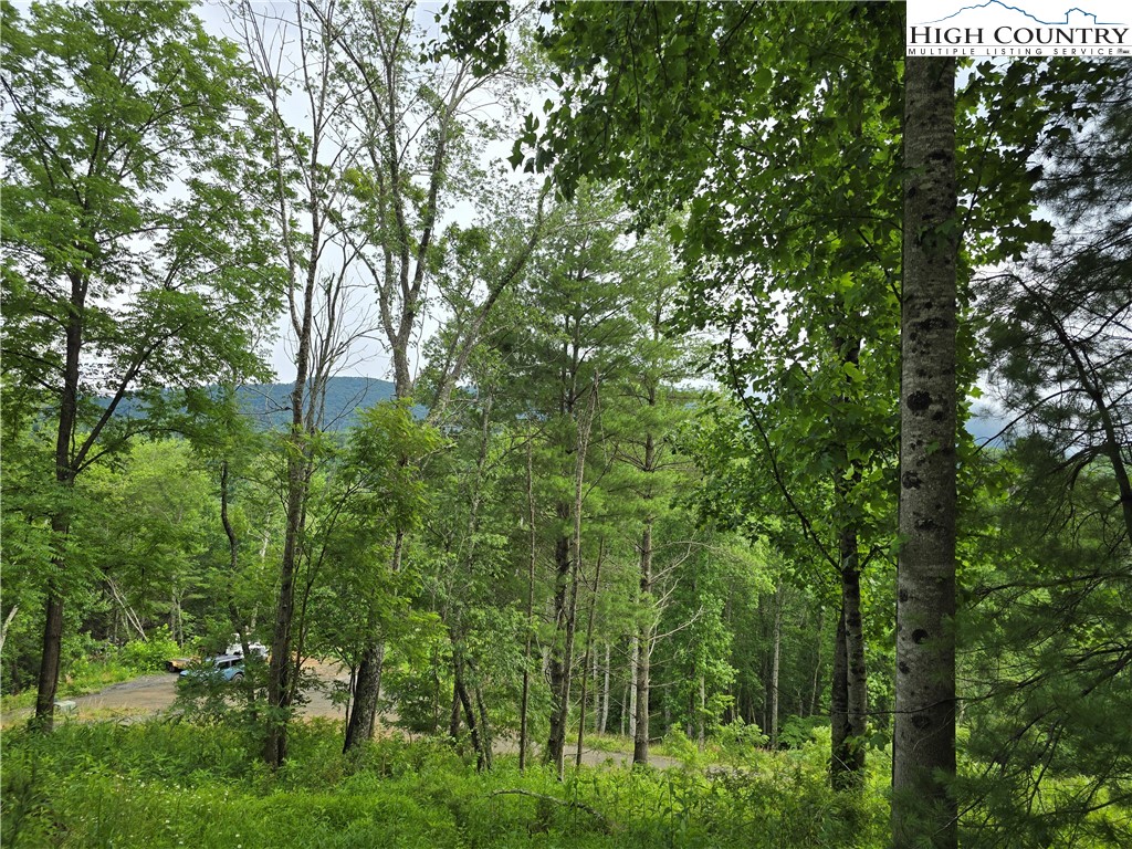 TBD (Lot 3) Venue Views Drive