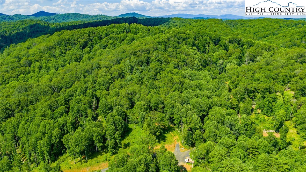 TBD (Lot 3) Venue Views Drive