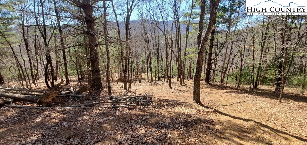 TBD (Lot 3) Venue Views Drive