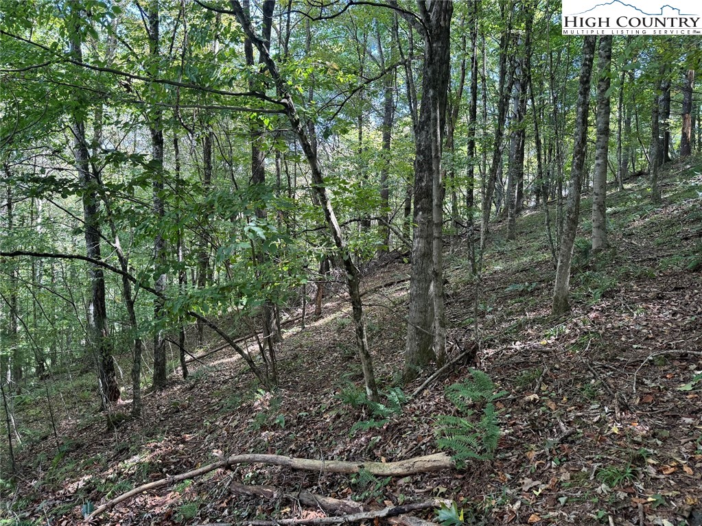 63 Village Pine Drive