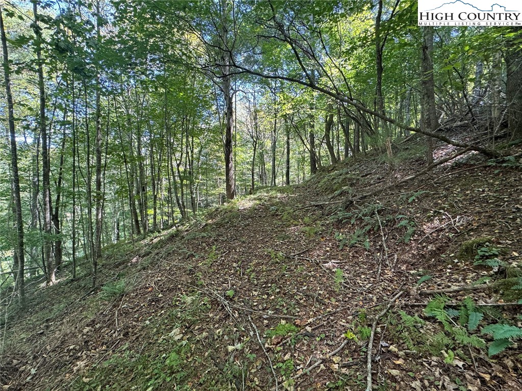 63 Village Pine Drive