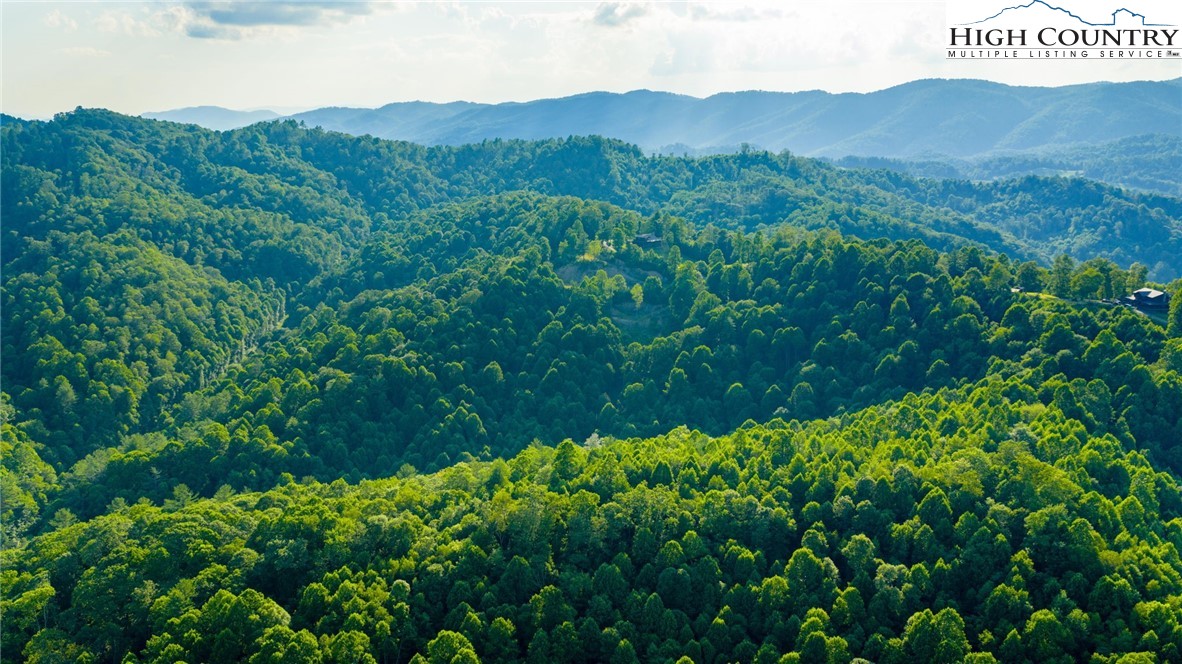 TBD-3 Big Laurel Road