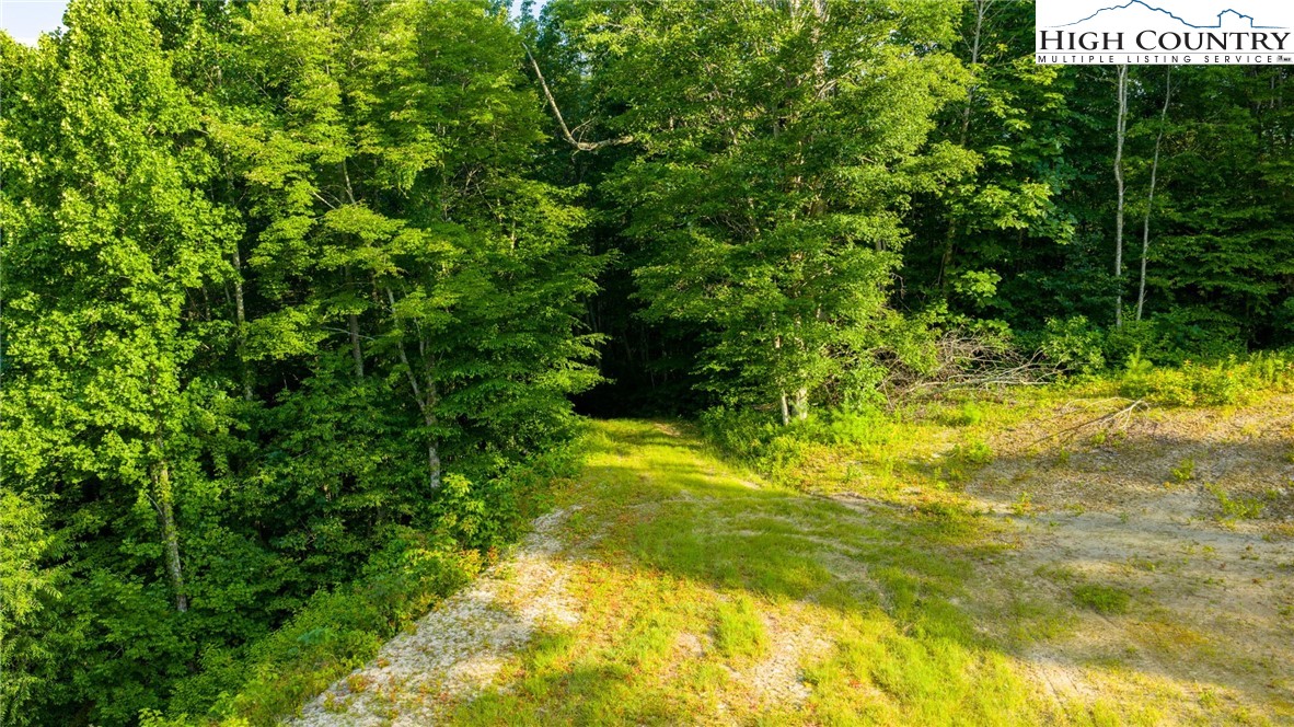 TBD-3 Big Laurel Road