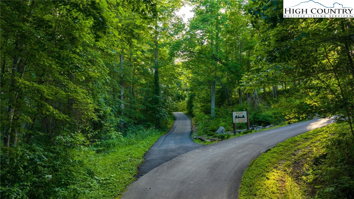 TBD-3 Big Laurel Road