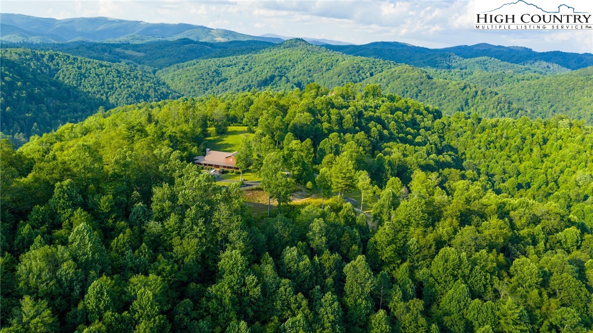 TBD-3 Big Laurel Road