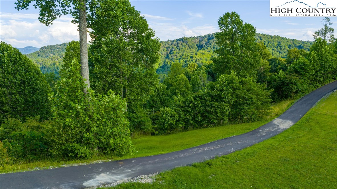 TBD-3 Big Laurel Road