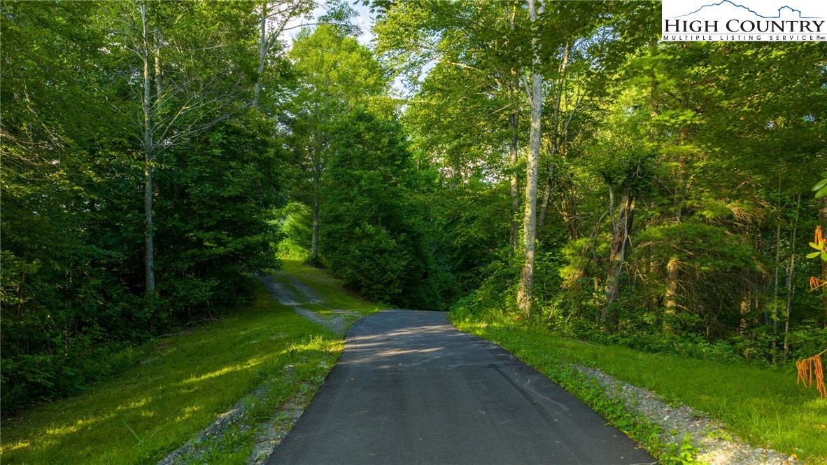 TBD-3 Big Laurel Road