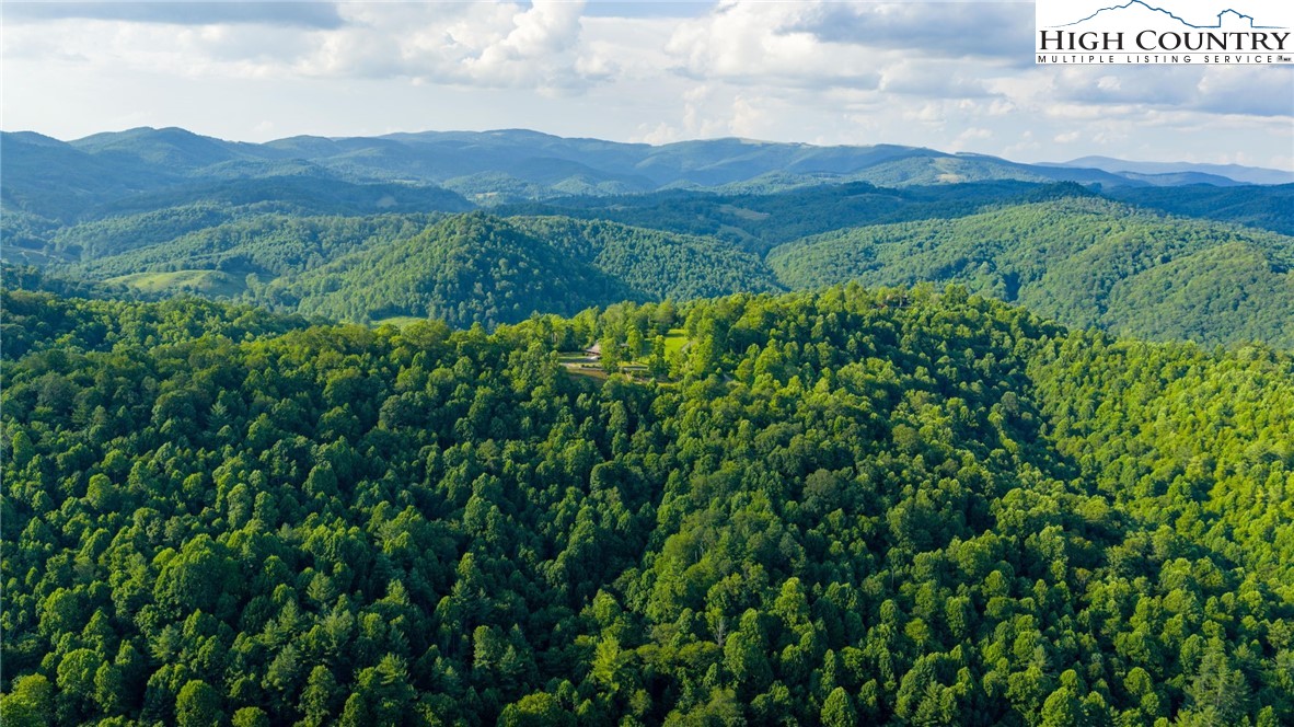 TBD-3 Big Laurel Road