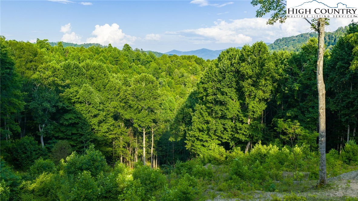 TBD-3 Big Laurel Road