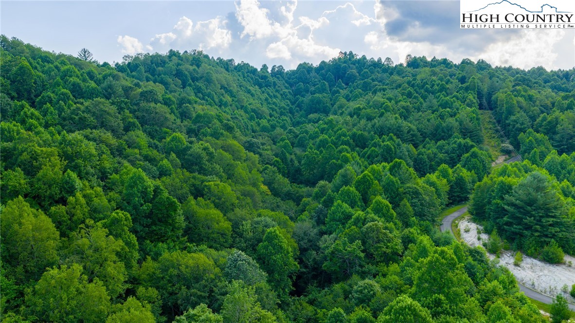 TBD-5 Big Laurel Road