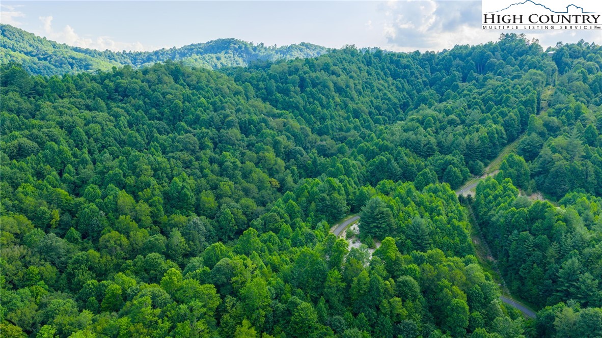 TBD-5 Big Laurel Road