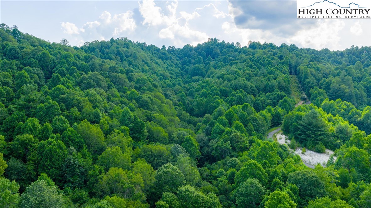 TBD-5 Big Laurel Road