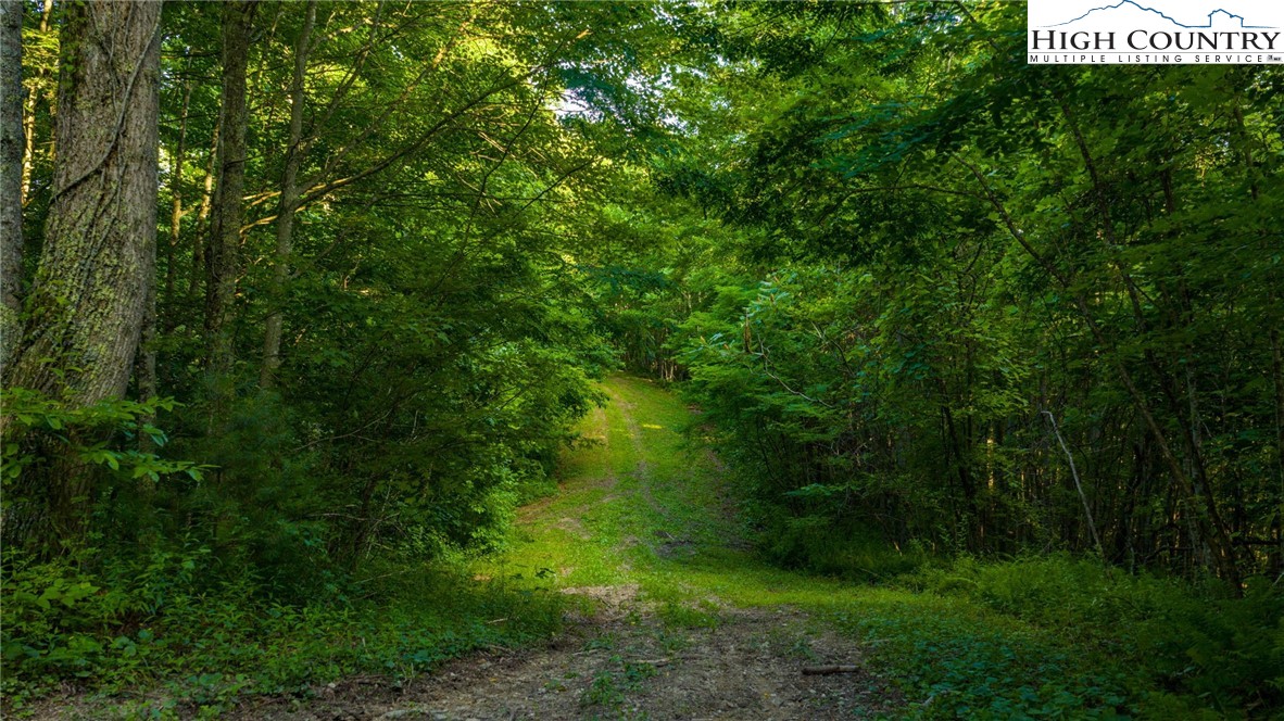 TBD-5 Big Laurel Road