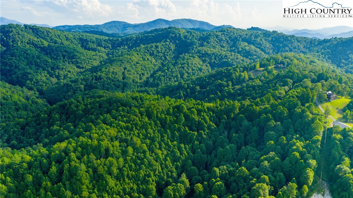 TBD-5 Big Laurel Road