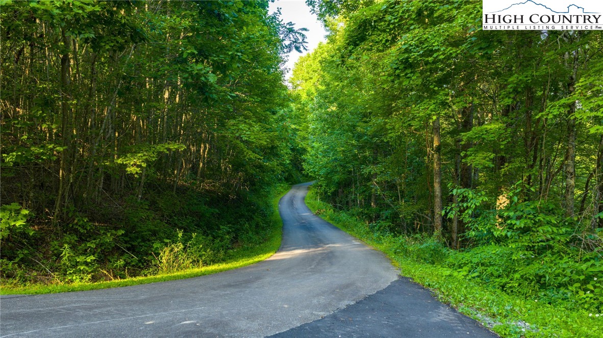 TBD-5 Big Laurel Road