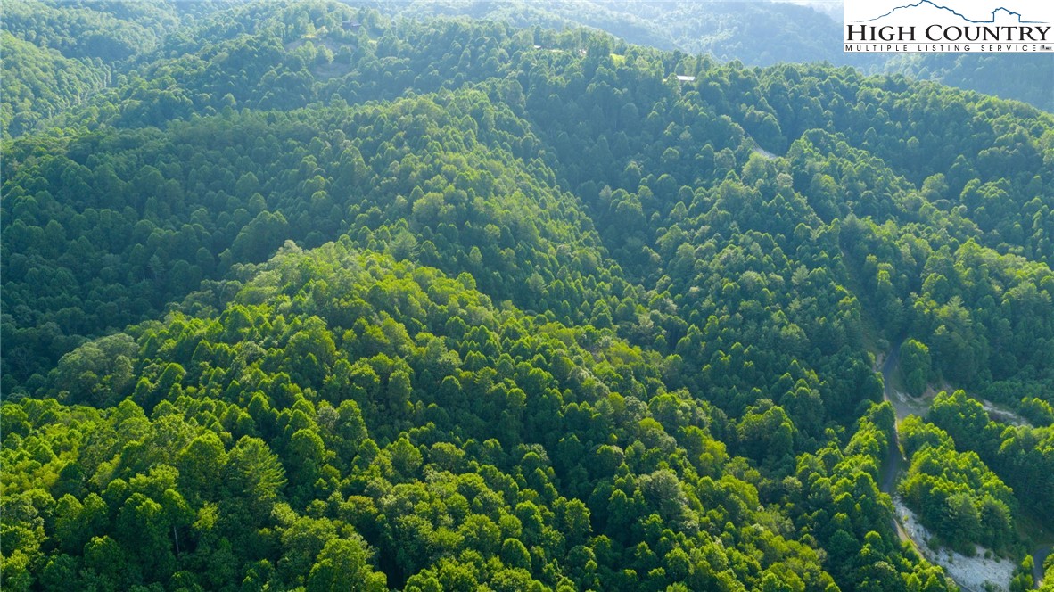 TBD-5 Big Laurel Road