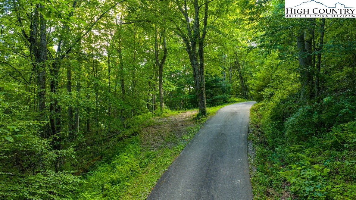 TBD-5 Big Laurel Road