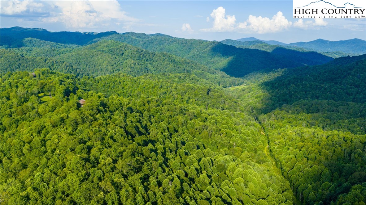 TBD-5 Big Laurel Road