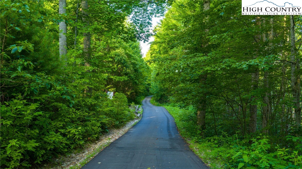 TBD-5 Big Laurel Road