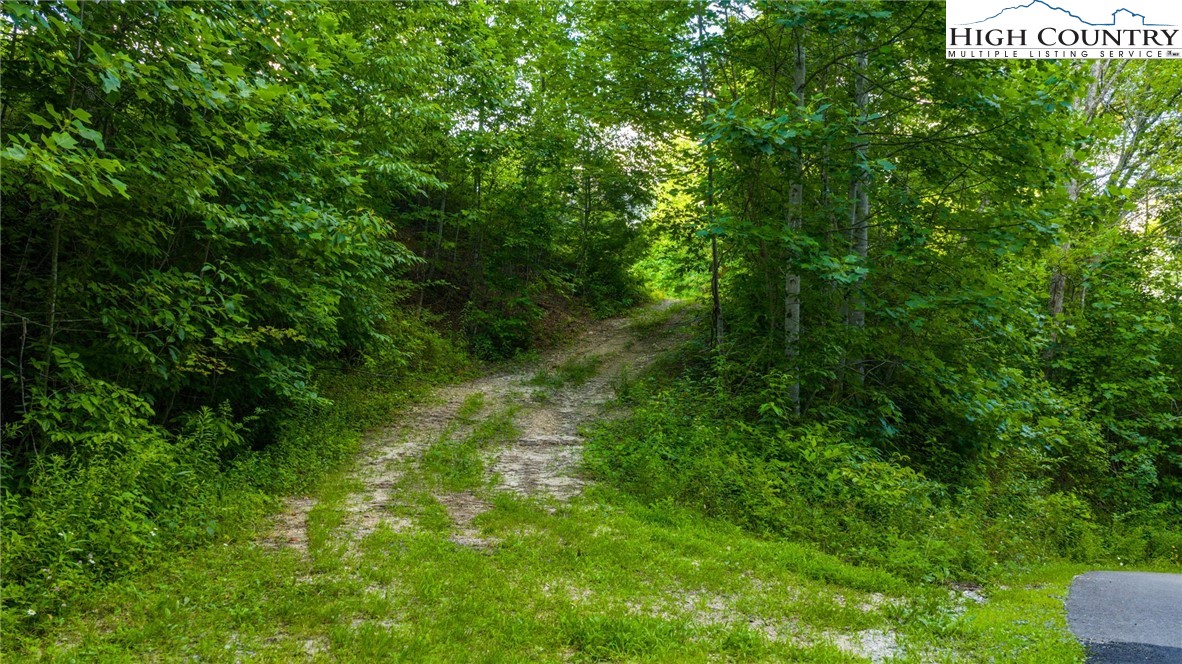 TBD-6 Big Laurel Road