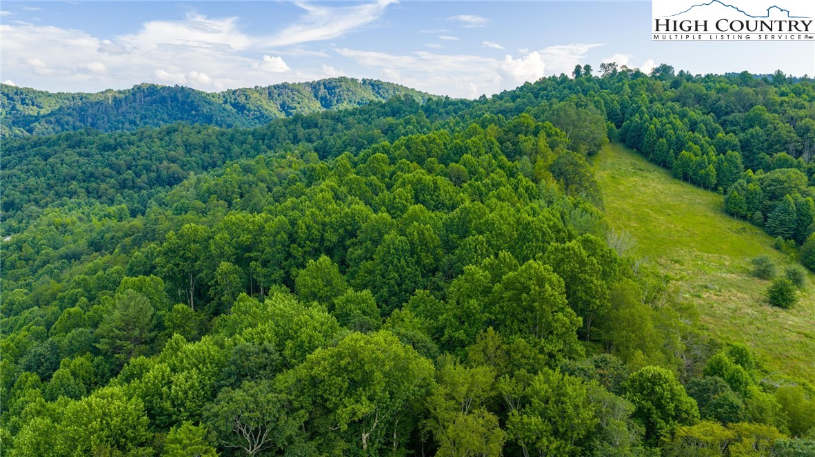 TBD-6 Big Laurel Road