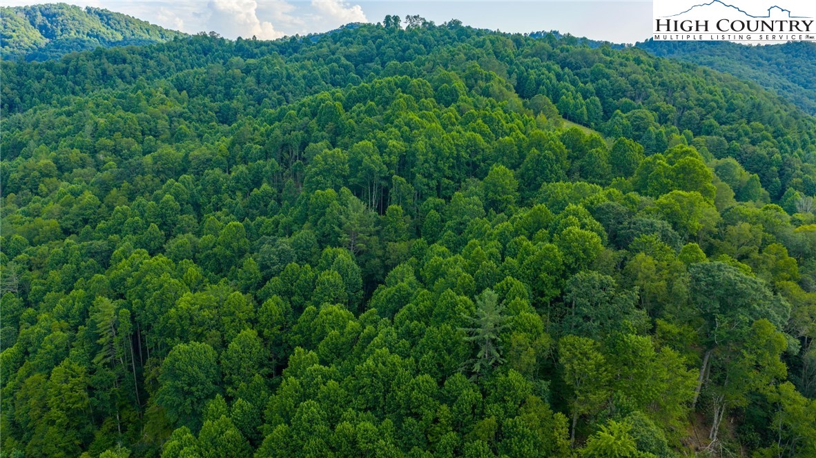 TBD-6 Big Laurel Road