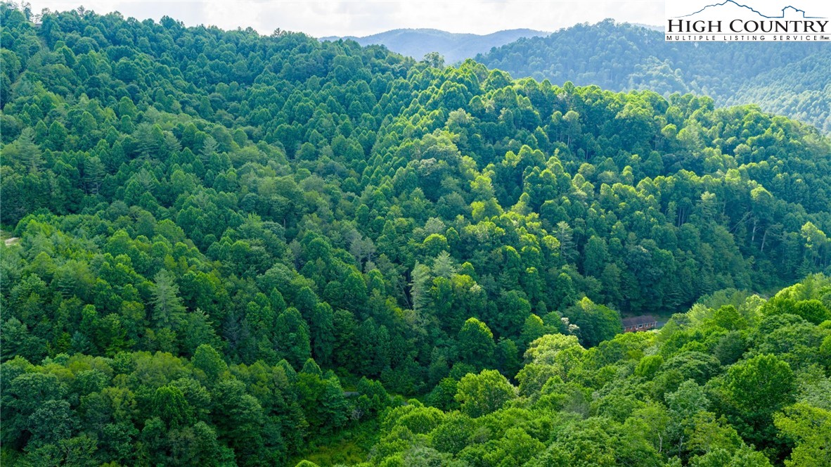 TBD-7 Big Laurel Road