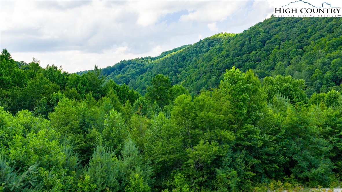 TBD-7 Big Laurel Road