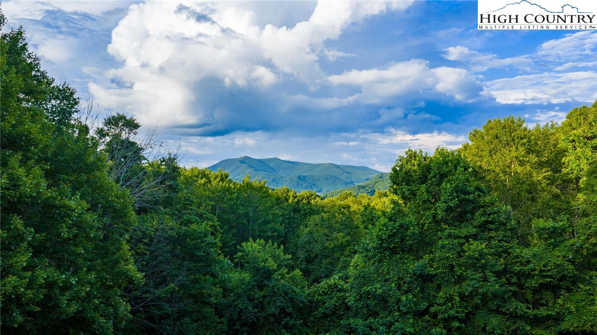 374 Bluff Ridge Road
