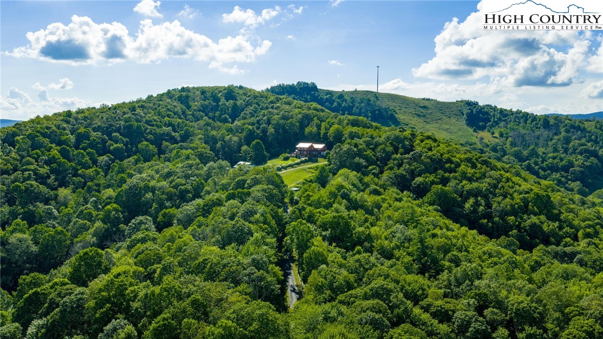 1461 Greer Town Road