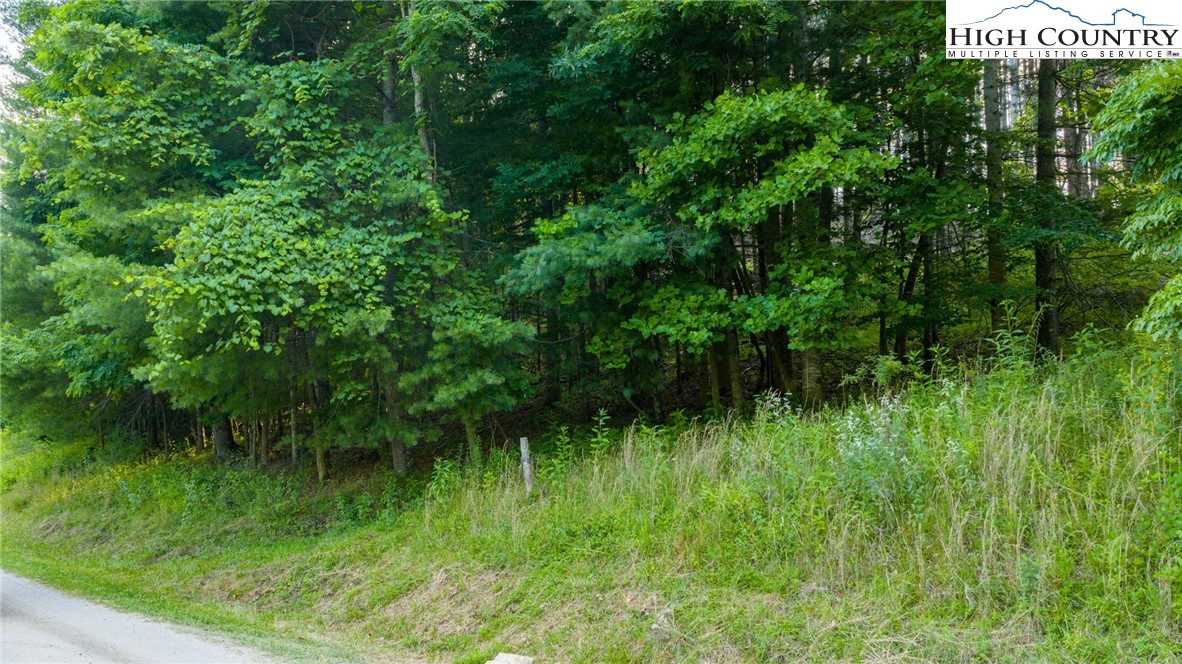 TBD 16 Bill Cooper Road Extension