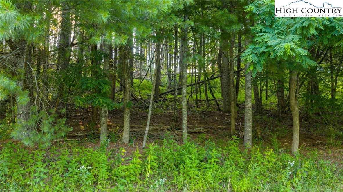 TBD 16 Bill Cooper Road Extension