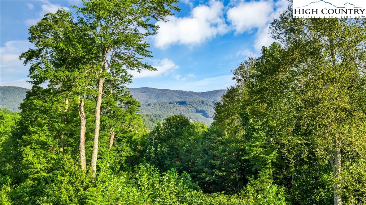 TBD 2 Big Laurel Road
