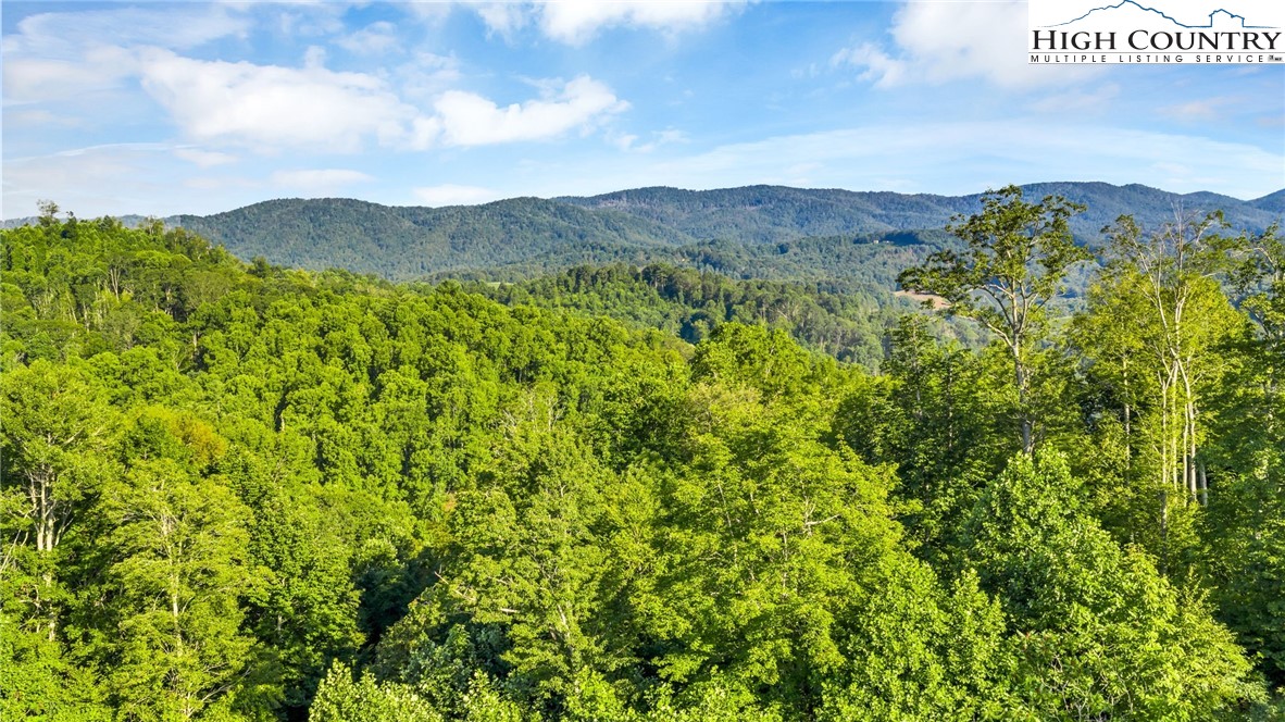 TBD 2 Big Laurel Road