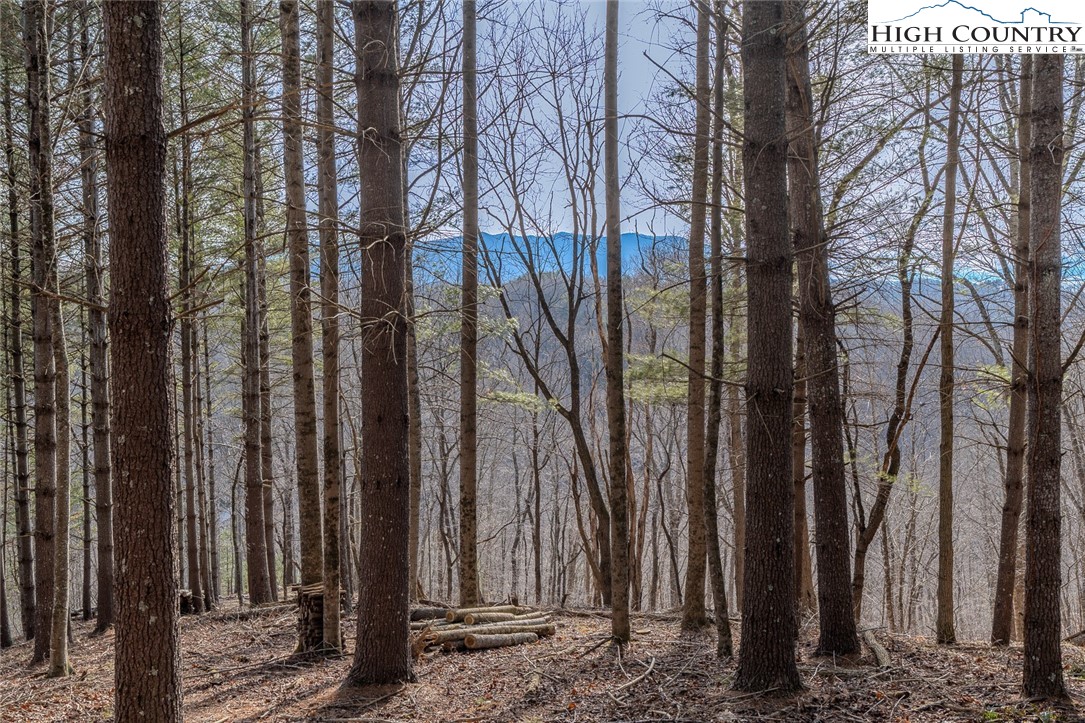 8 and 9 Haven Ridge Road