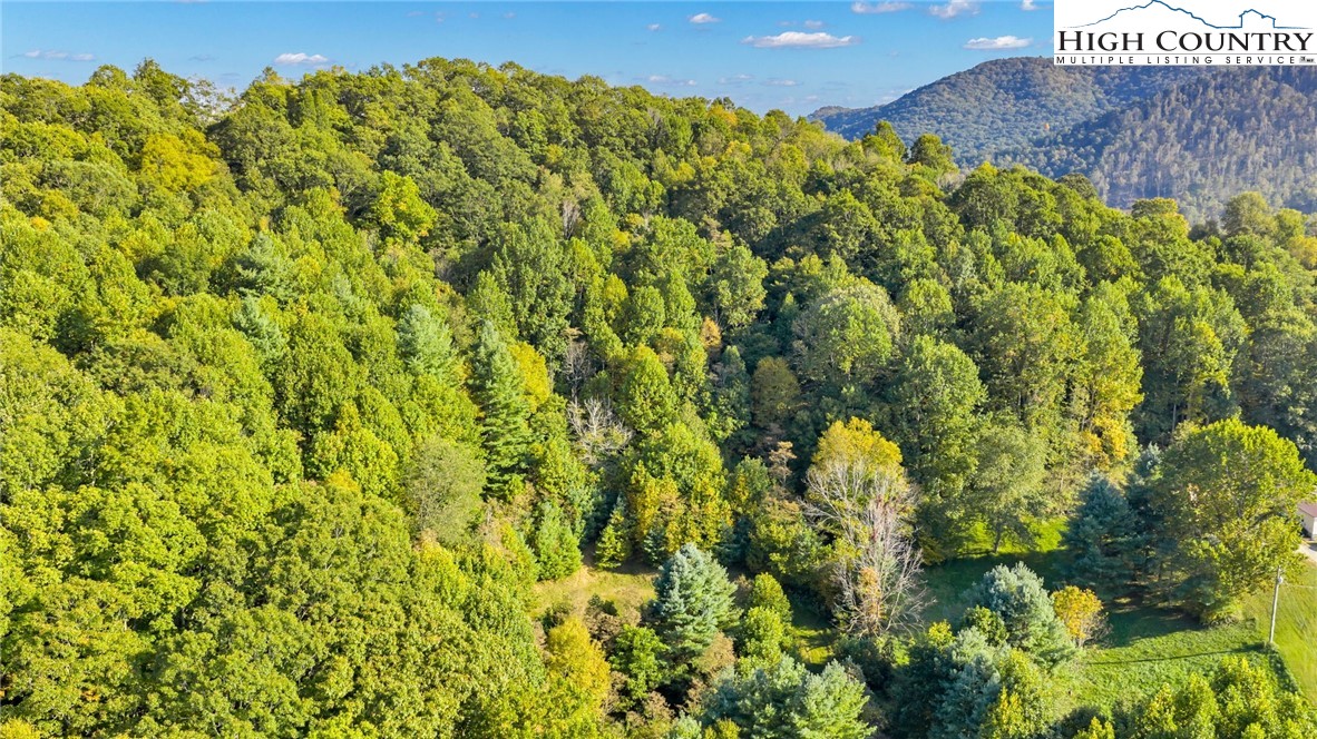 TBD Mulatto Mountain Road