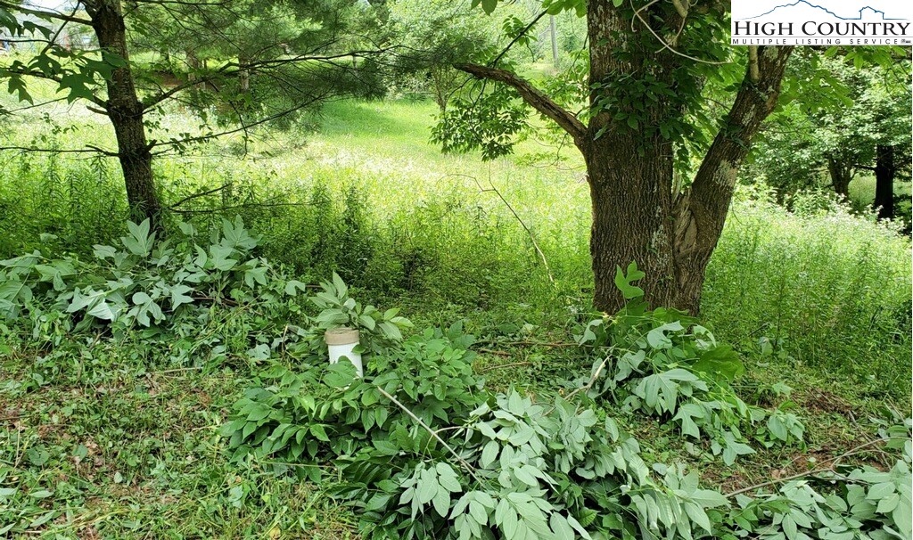 TBD Mulatto Mountain Road