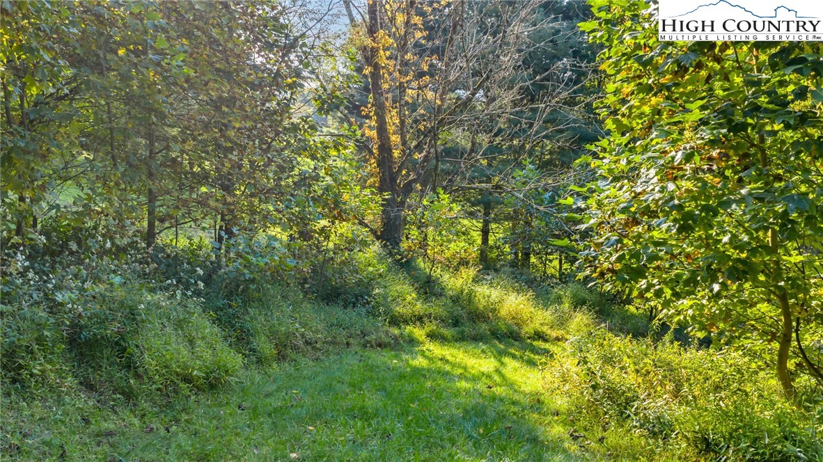 TBD Mulatto Mountain Road