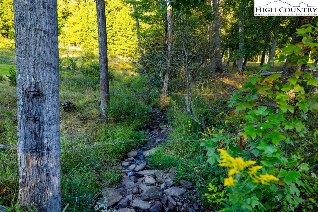 TBD W Woodlands Trail