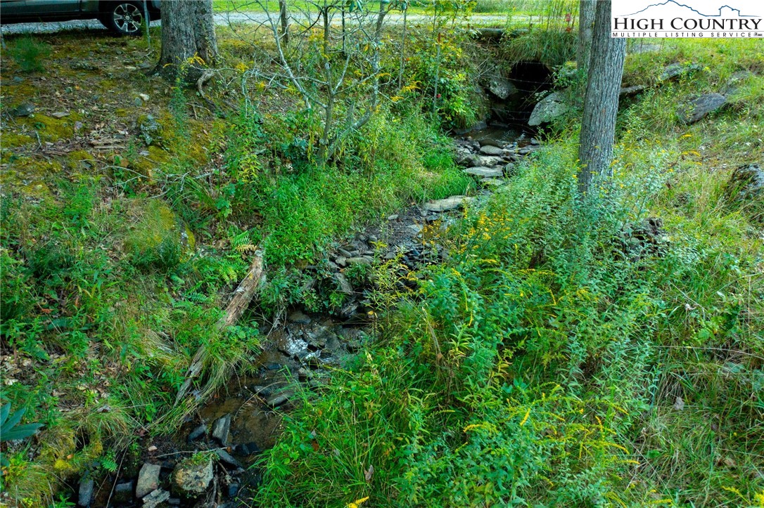 TBD W Woodlands Trail