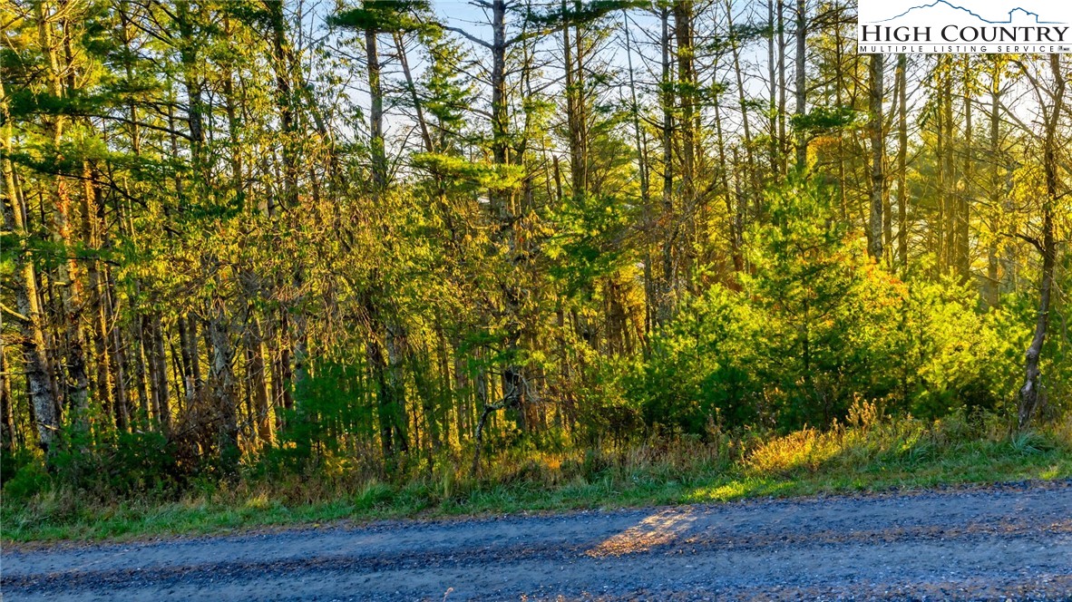 TBD - 18 Davis Acres Drive