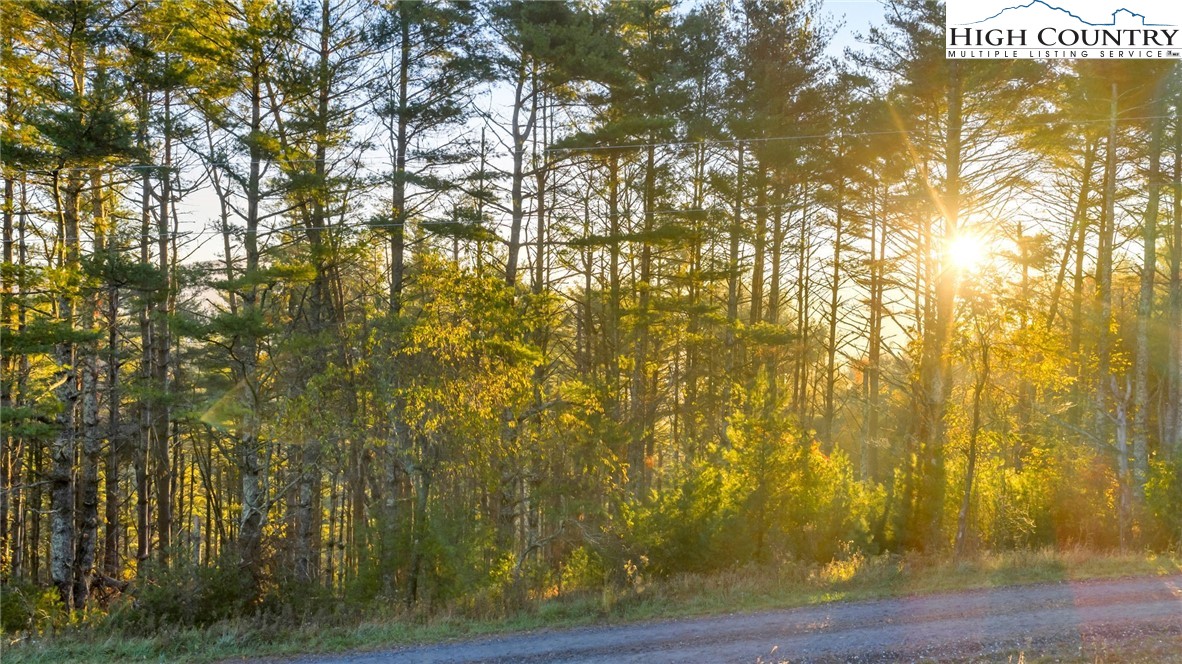 TBD - 18 Davis Acres Drive