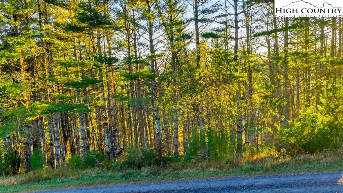 TBD - 18 Davis Acres Drive