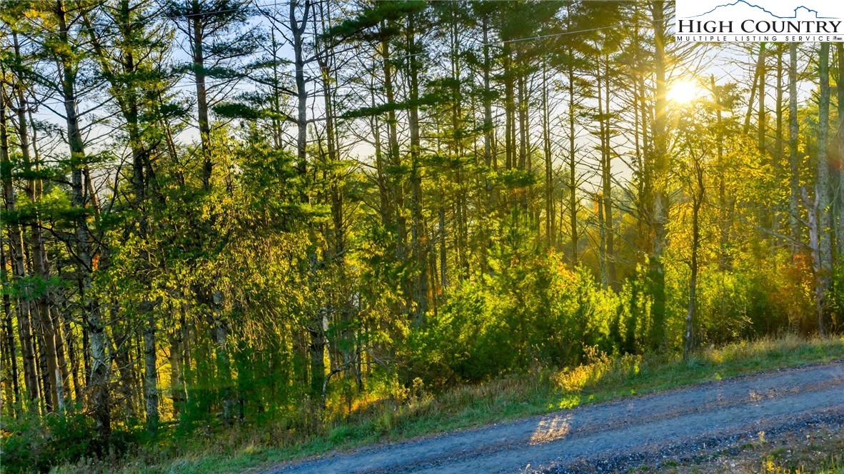 TBD - 19 Davis Acres Drive