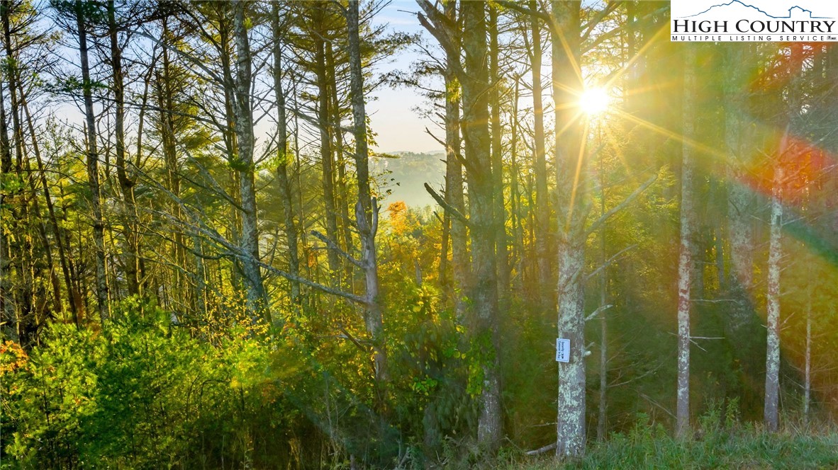 18 and 19 Davis Acres Drive