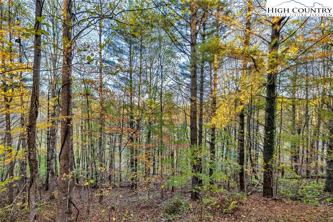 539 Four Coves Trail